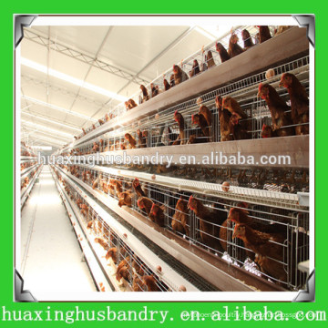 Chicken house design for chicken cage for nigeria/africa